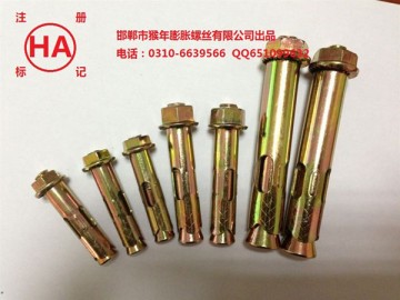 Hex bolt anchor Hex bolt anchor