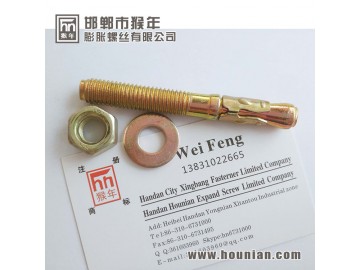 wedge bolt manufacure in handan yongnian 